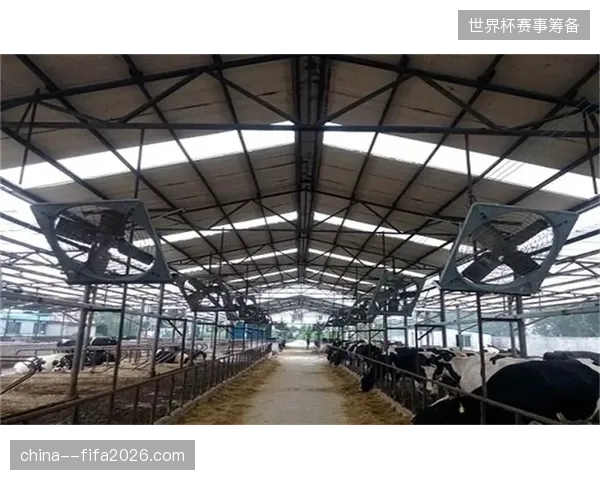 全球路跑赛事通过模块化温控设施将赛事电力消耗下降近42%